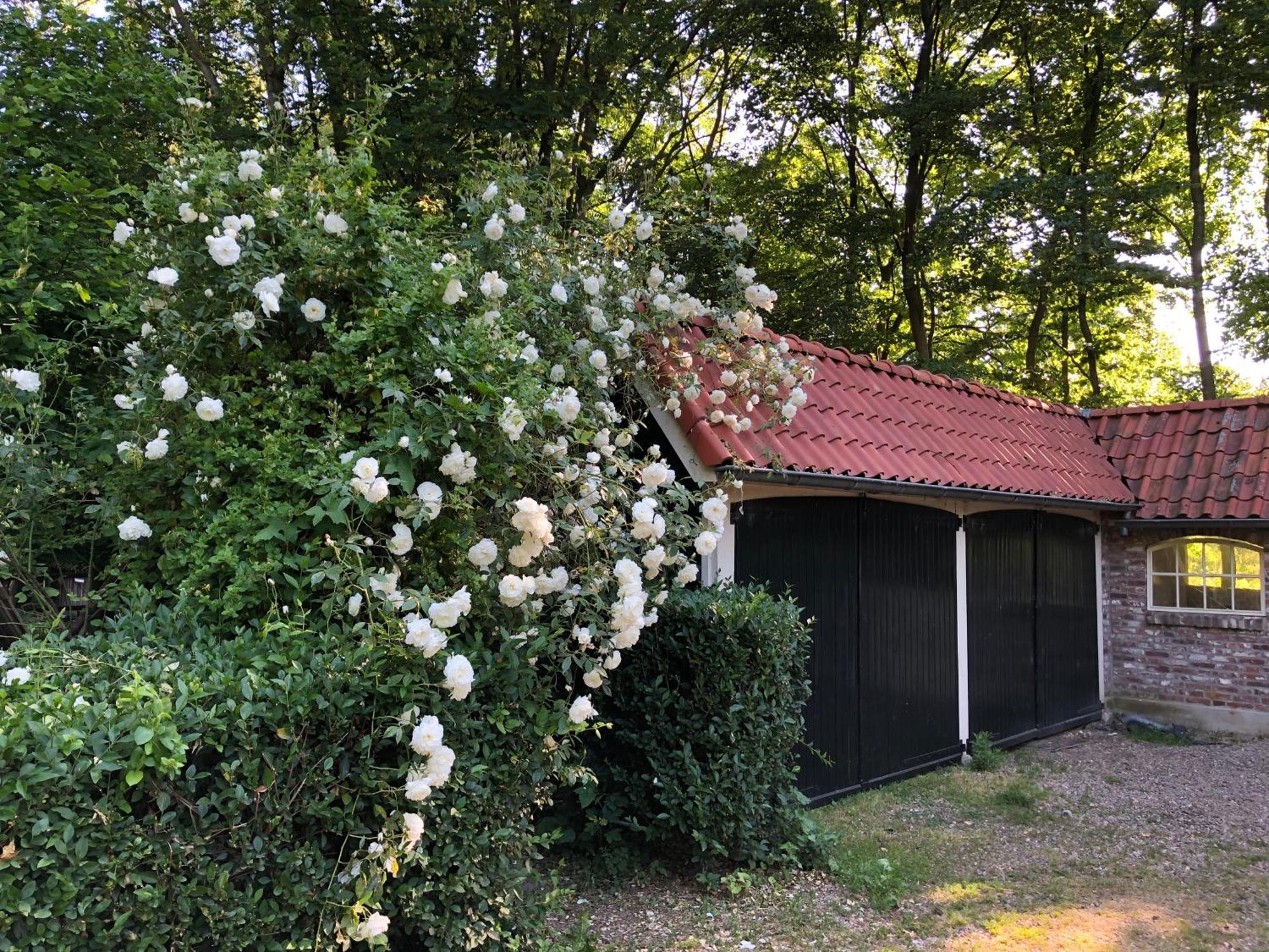 فندق De Zeilende Kraay Katwijk المظهر الخارجي الصورة